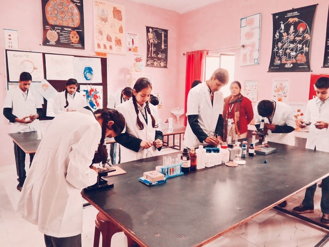 P.S.Public School