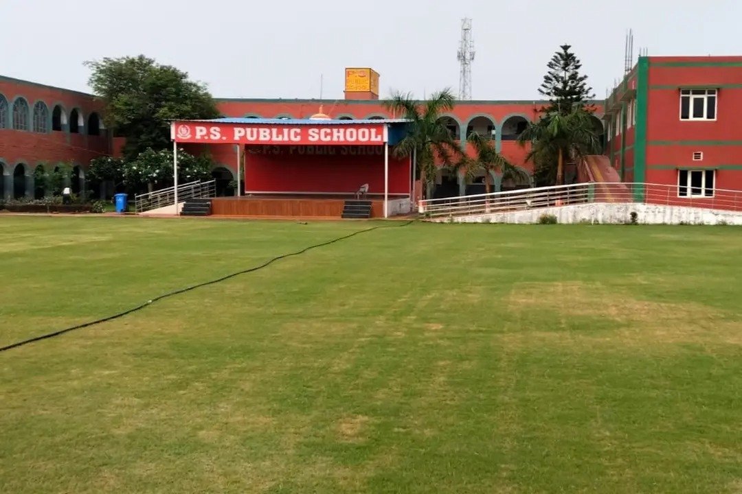 P.S. Public School