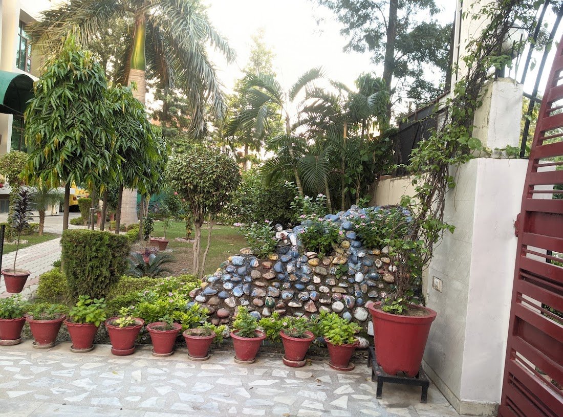 Google Map IN