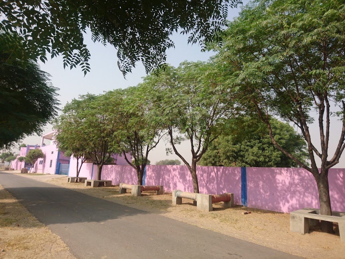 Nitin yadav