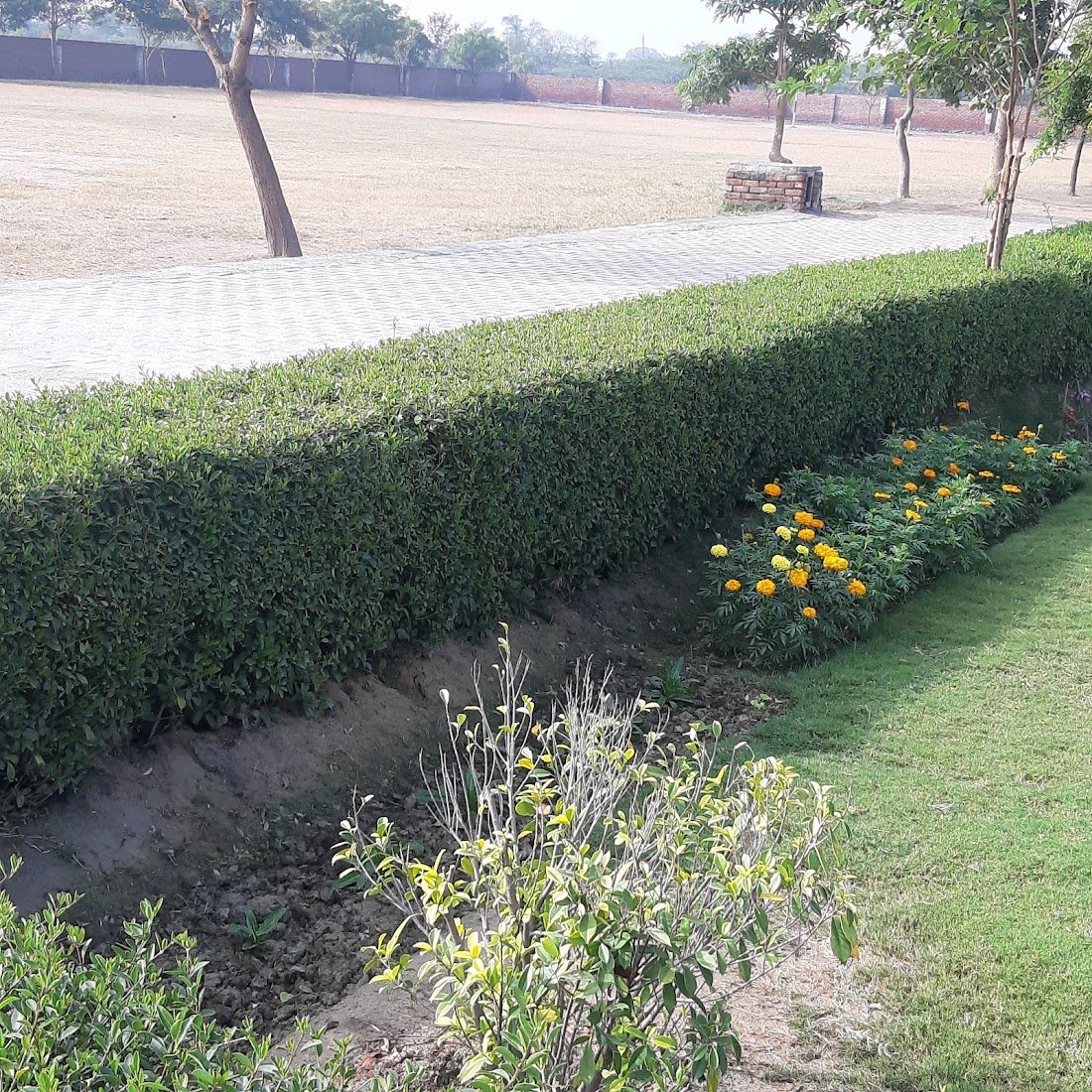Al-Hasan School