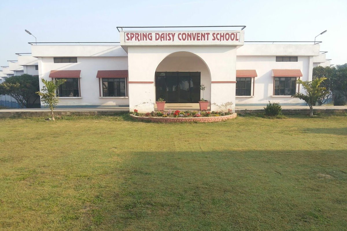 Spring Daisy Convent School