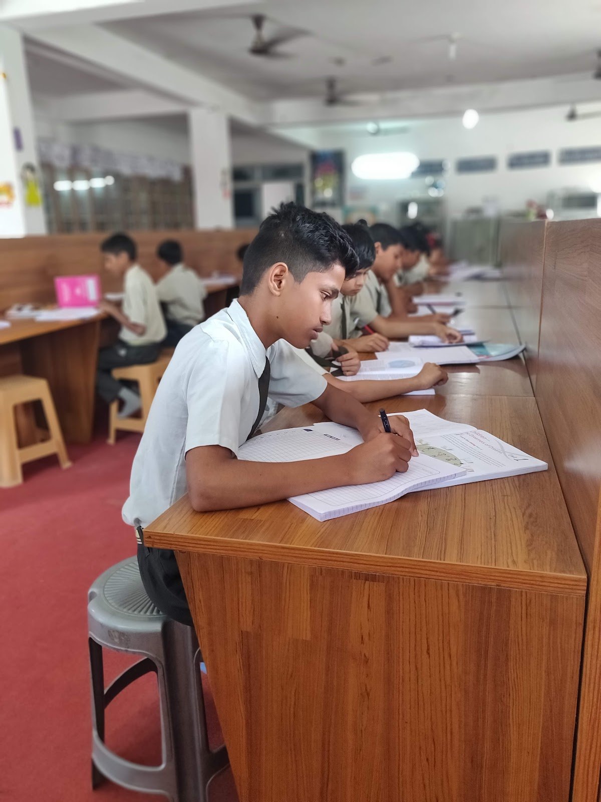 Ideal Public School
