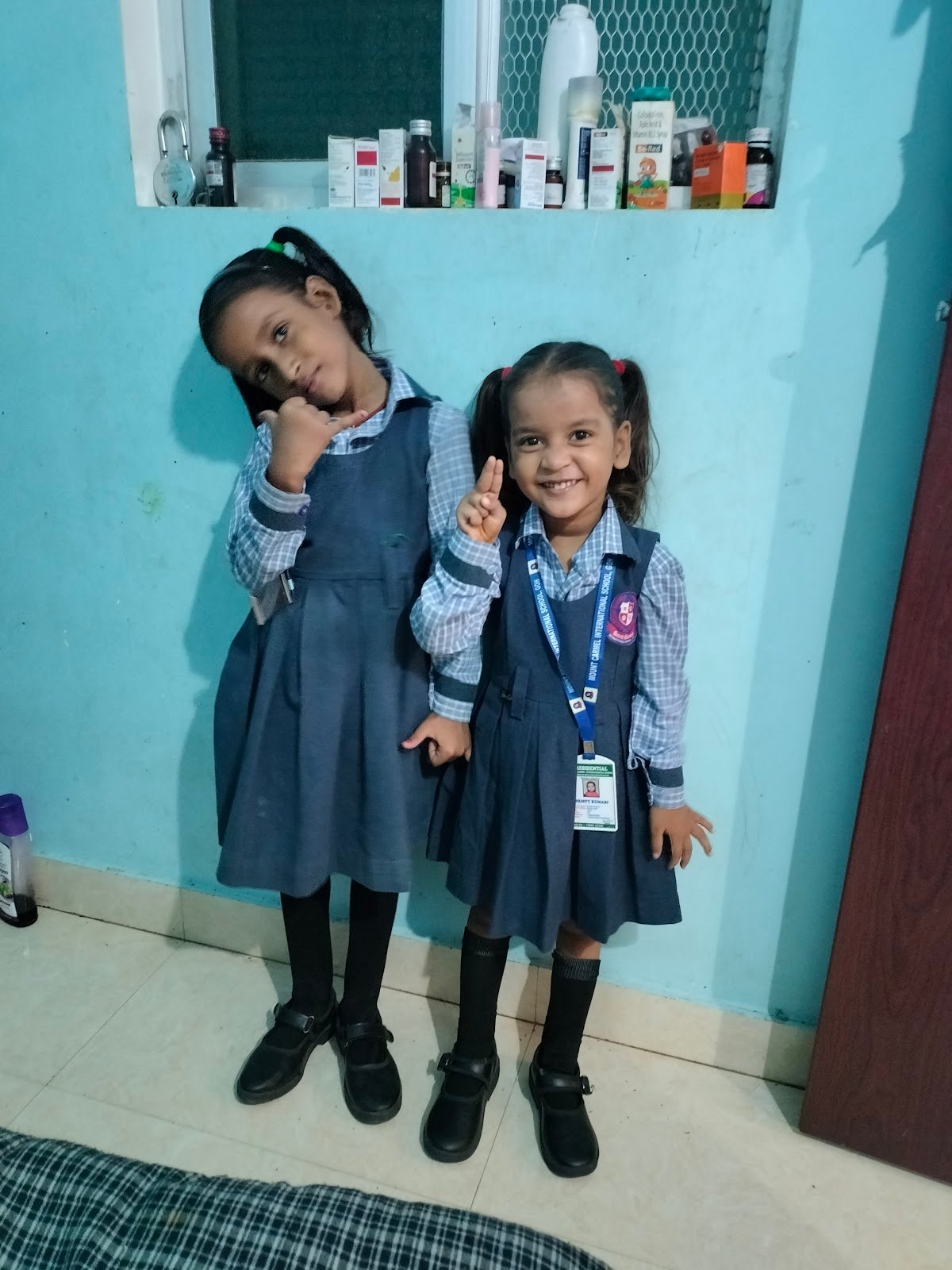 Mount Carmel International School