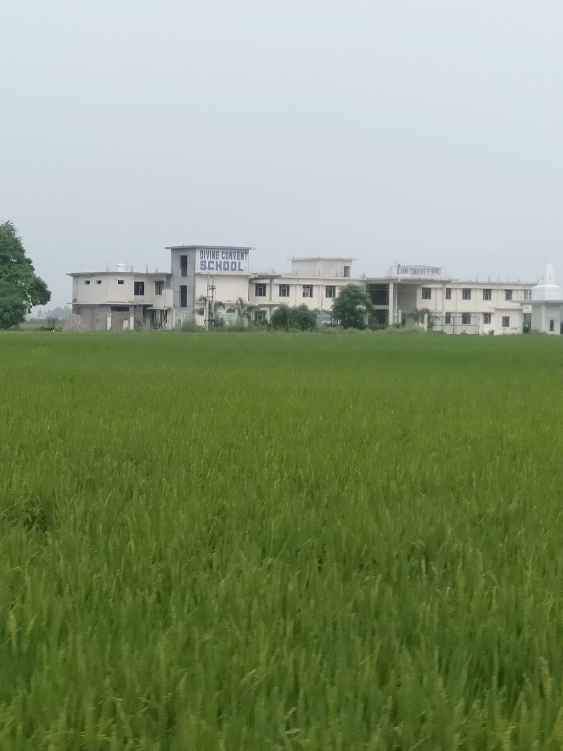Punjab Virk
