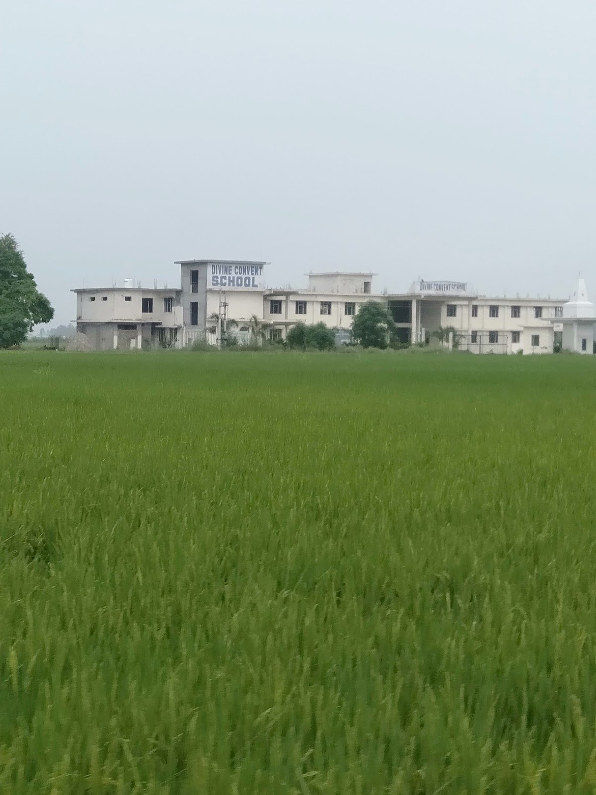 Divine Convent School