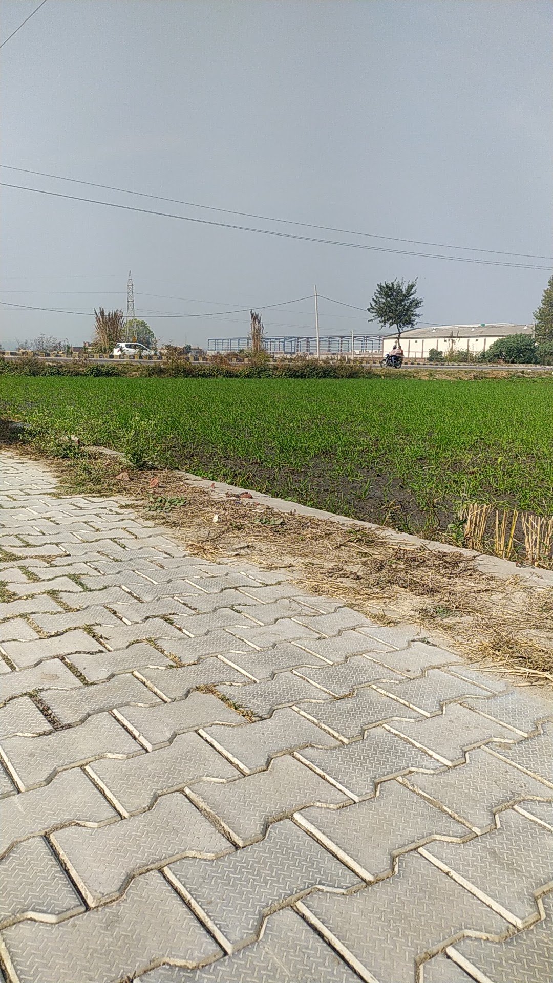 Greenland Public School Darar