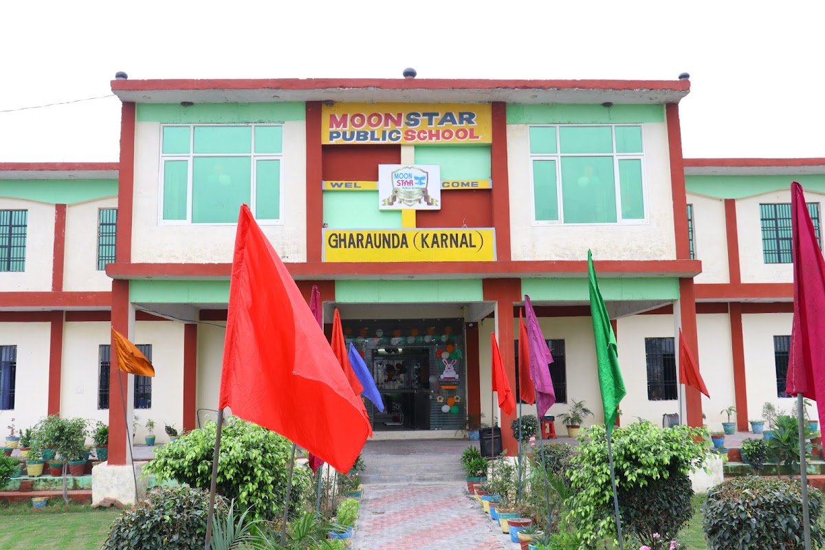 Moon Star Public School