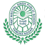 Sant Nischal Singh Public School